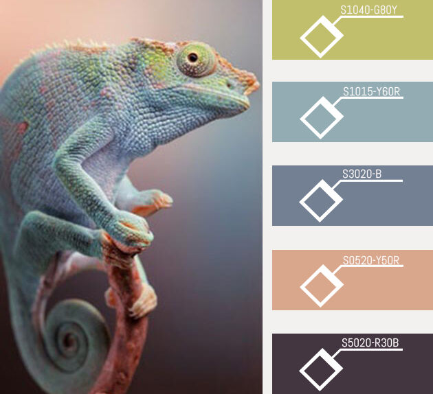 Chameleon